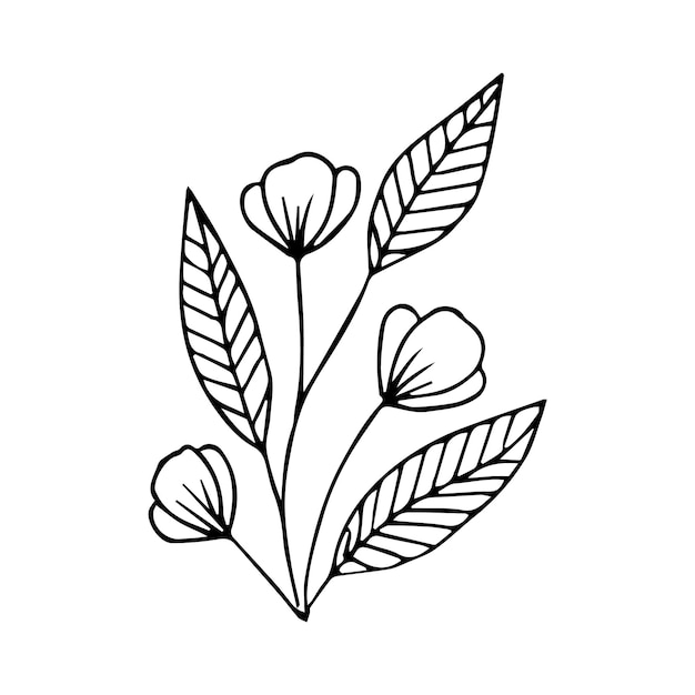 Hand getrokken doodle plant element voor bloemen ontwerpconcept