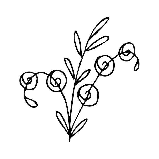 Hand getrokken doodle plant element voor bloemen ontwerpconcept