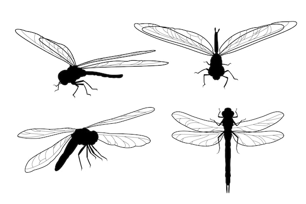 Vector hand getrokken dragonfly silhouet collectie