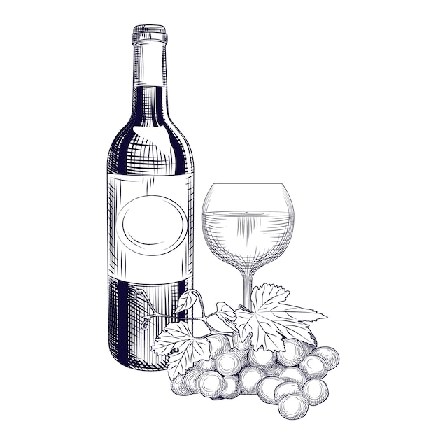 Hand getrokken fles wijn, glas en druiven. gravure stijl.