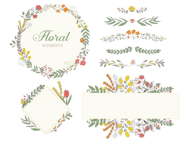 Vector hand getrokken florale decoratie-elementen, illustraties, frame, scheidingslijn collectie.