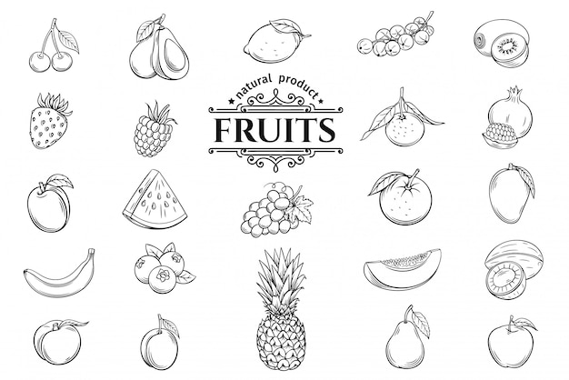 Hand getrokken fruit iconen set