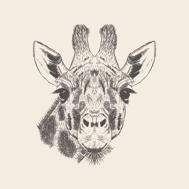Hand getrokken giraffe illustratie vector