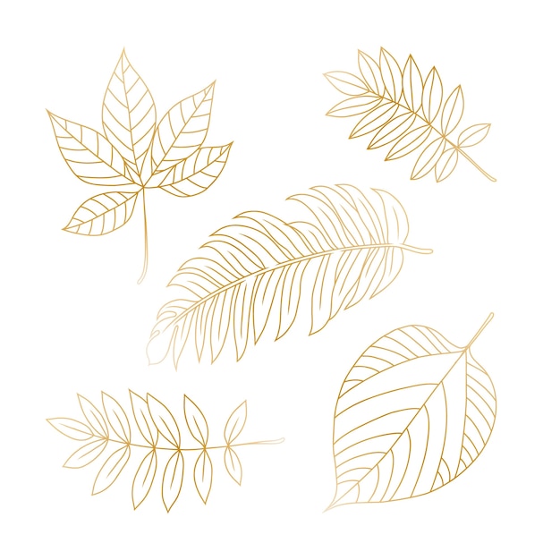 Hand getrokken gouden bladeren illustratie