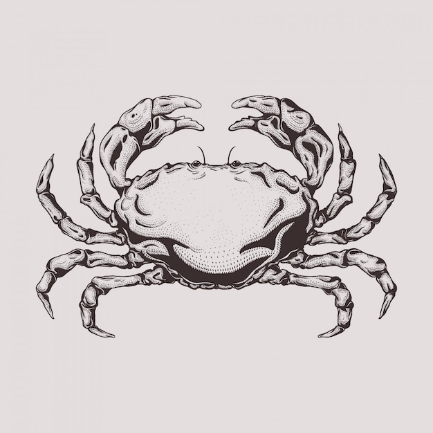 Vector hand getrokken gravure stijl krab illustratie