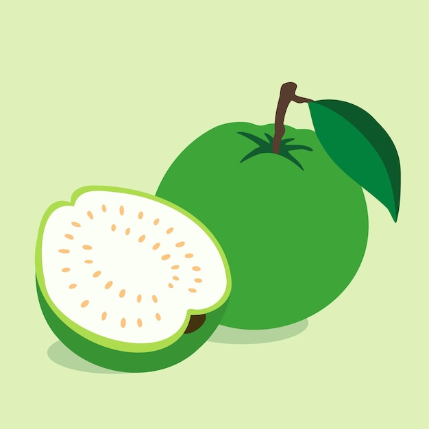 Hand getrokken guave vers fruit tropisch fruit gezond dieet fruit vectorontwerp illustraties