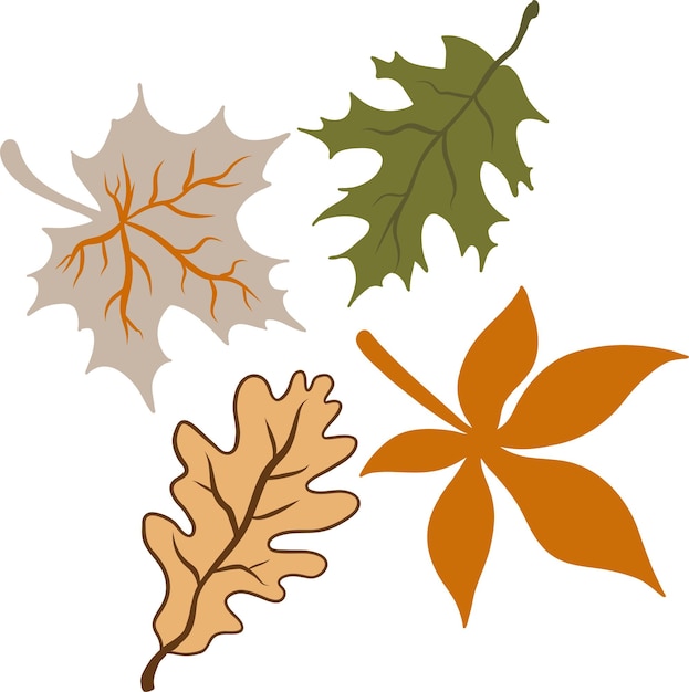 Vector hand getrokken herfst elementen illustratie