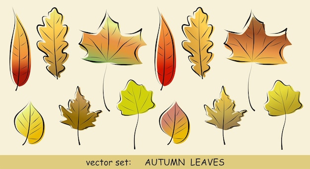 Hand getrokken herfstbladeren vector set