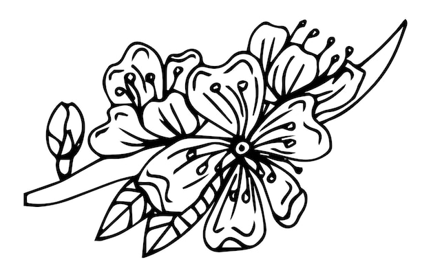 Hand getrokken kersentakken met bloemen, zwart-wit kleurboek. sakura plant silhouet