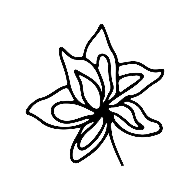 Hand getrokken kruiden bloemen clipart één regel doodle vector