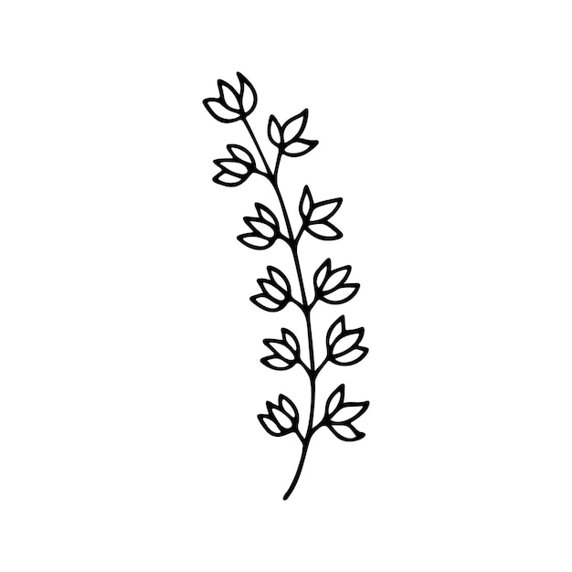 Hand getrokken kruiden bloemen clipart één regel doodle vector