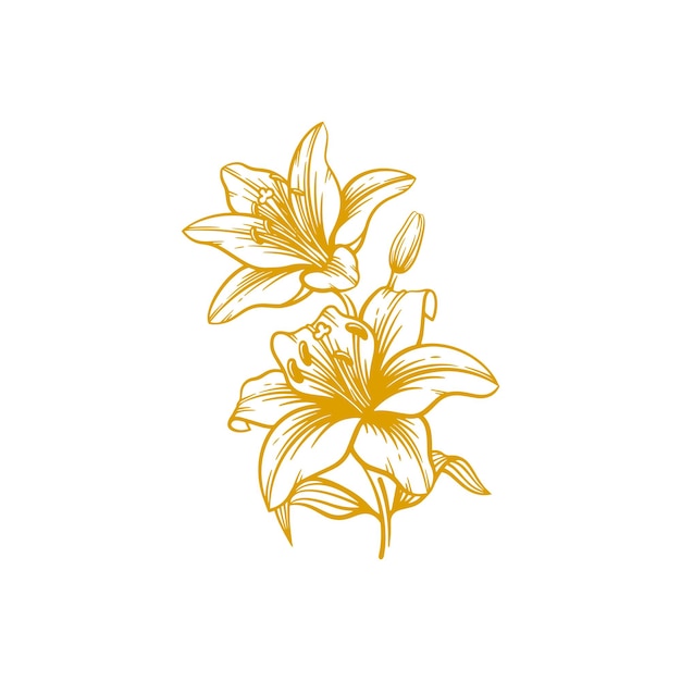 Vector hand getrokken lelie bloem lily bloem lijntekeningen vector illustratie