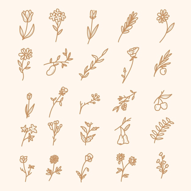 Hand getrokken lente botanische bloem bloemen illustratie premium vector