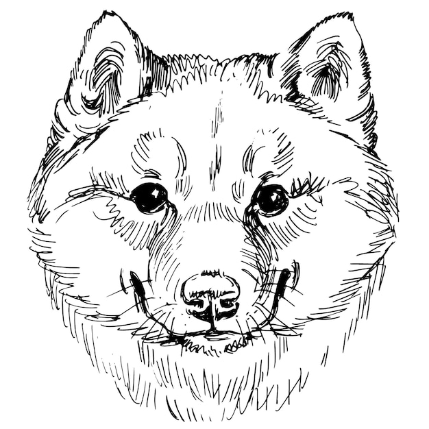 Hand getrokken lijn kunst vectorillustratie van hond portret geïsoleerd op wit