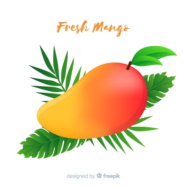 Hand getrokken mango illustratie