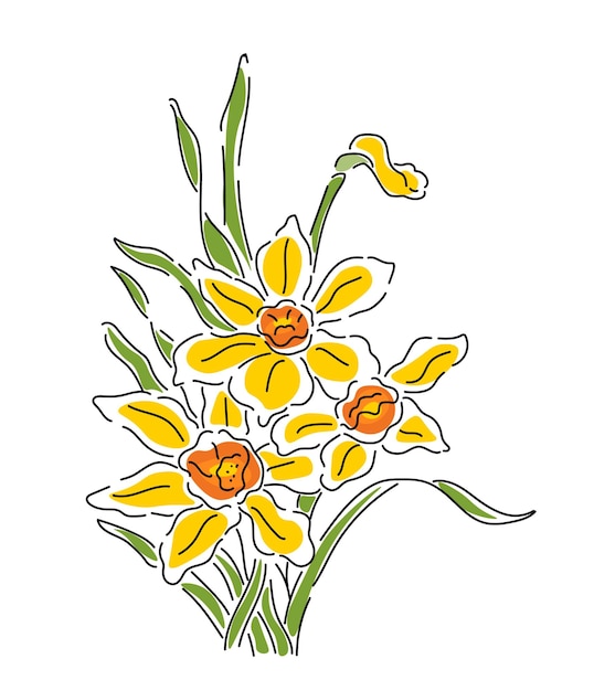 Vector hand getrokken narcis vector bloemen lijntekeningen