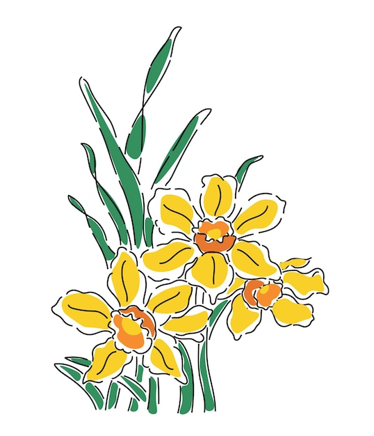 Vector hand getrokken narcis vector bloemen lijntekeningen