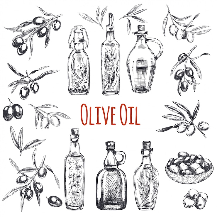 Vector hand getrokken olijven gegraveerde illustratie