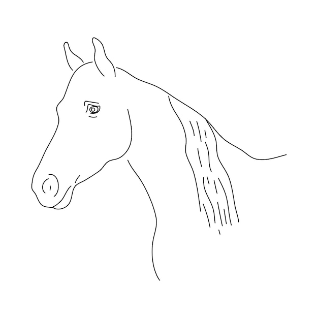 Hand getrokken paard hoofd vectorillustratie