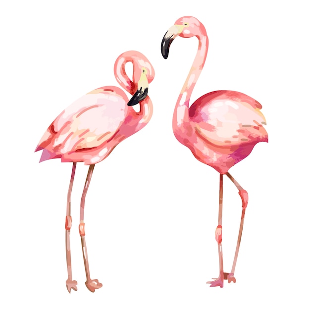 Hand getrokken roze flamingo illustratie