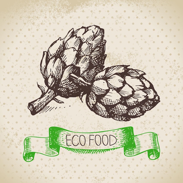 Hand getrokken schets artisjok groente. eco voedsel achtergrond. vectorillustratie