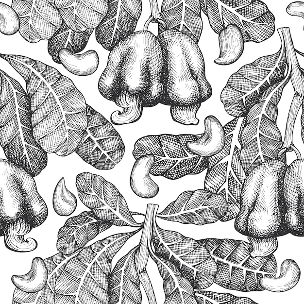 Hand getrokken schets cashew naadloze patroon