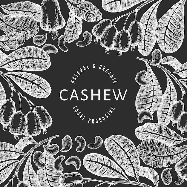 Hand getrokken schets cashew ontwerpsjabloon.