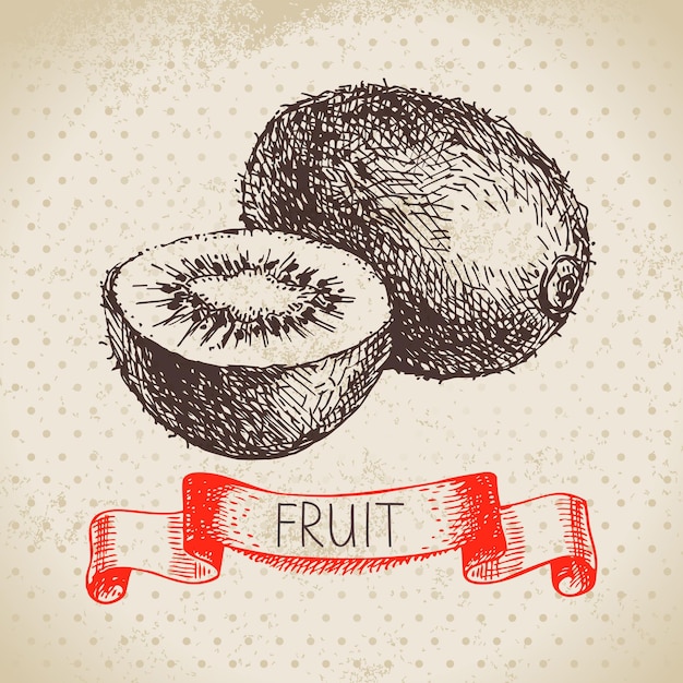 Hand getrokken schets fruit kiwi Eco voedsel achtergrond Vector illustratie