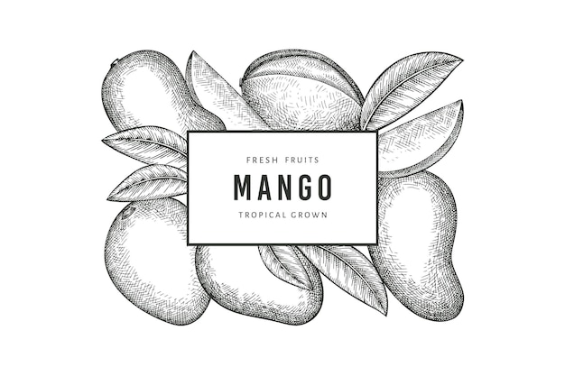 Hand getrokken schets mango stijllabel. Biologisch vers fruit. Retro mangofruit