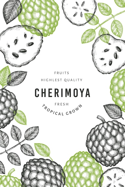 Hand getrokken schets stijl cherimoya banner.