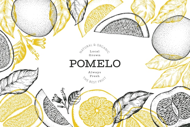 Hand getrokken schets stijl pomelo banner. Biologische vers fruit vectorillustratie. Ontwerpsjabloon voor retro fruit