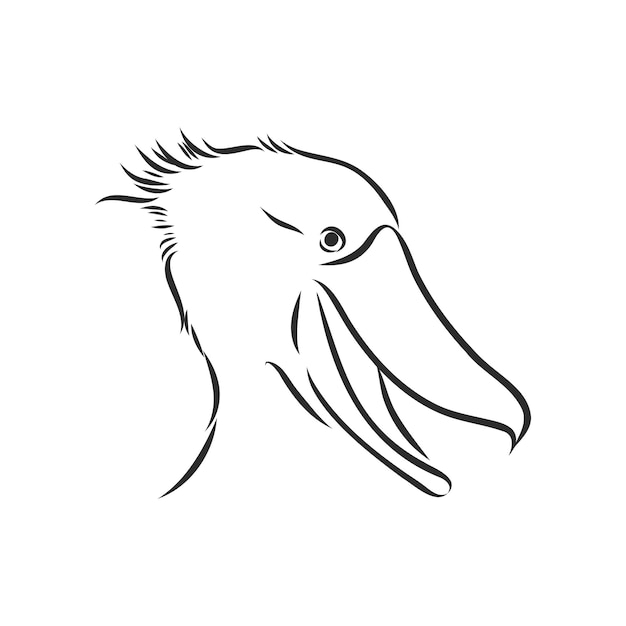 Vector hand getrokken schets stijl shoebill. vectorillustratie geïsoleerd op een witte achtergrond.