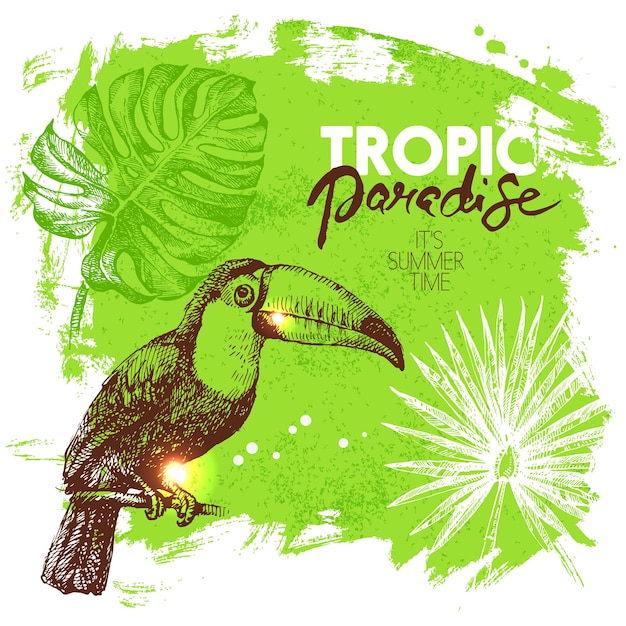 Hand getrokken schets tropisch paradijs planten en vogels achtergrond vectorillustratie