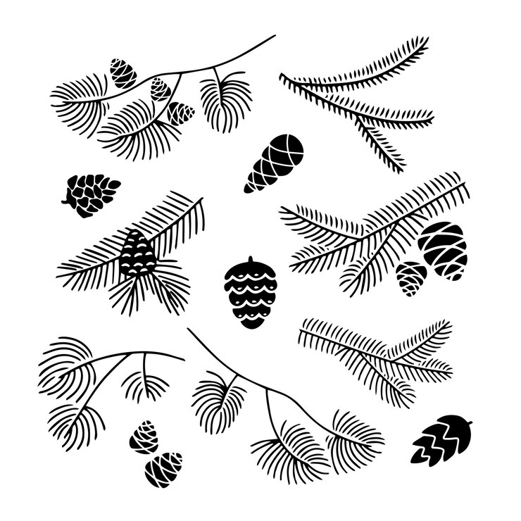 Hand getrokken set doodle van fir tree branch met kegels geïsoleerd op een witte achtergrond Conifer sketch