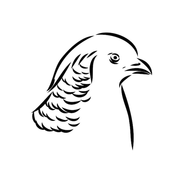 Hand getrokken van een fazant schets Vector illustratie geïsoleerd op een witte achtergrond
