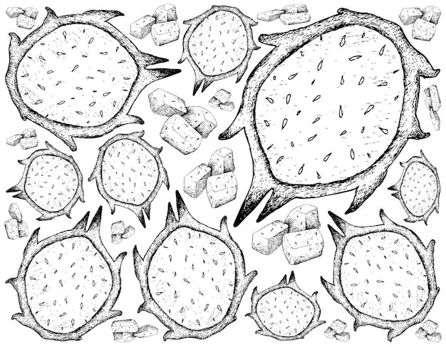 Hand getrokken van verse rijpe dragon fruit achtergrond
