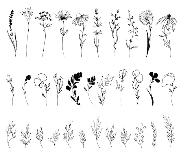 Hand getrokken vector set inkt bloemen, bladeren en twijgen