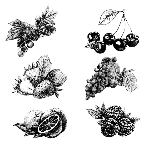 Hand getrokken vector vintage set van bessen en fruit geïsoleerd op een witte achtergrond