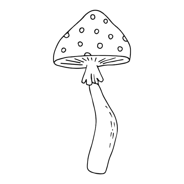 Hand getrokken vliegenzwam doodle pictogram Amanita paddestoel Giftige paddenstoel vliegenzwam Hand getrokken doodle