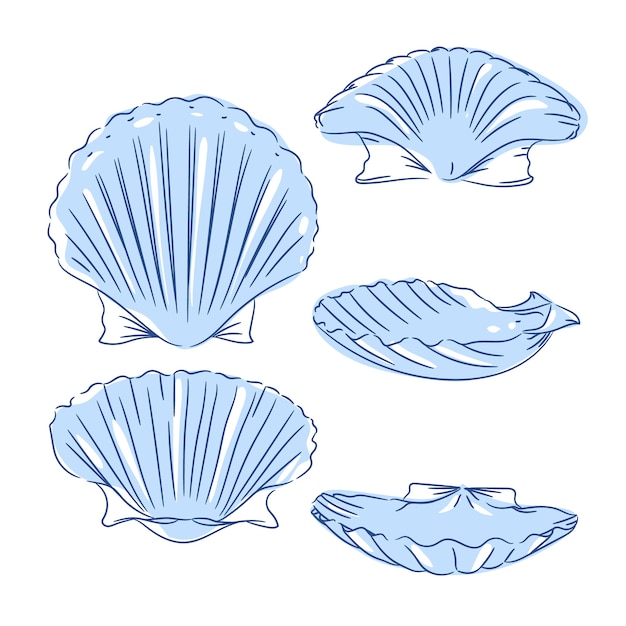 Hand getrokken zeeschelp illustratie