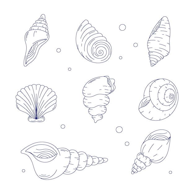 Hand getrokken zeeschelp overzicht illustratie