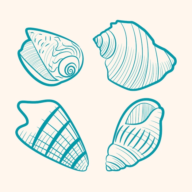Hand getrokken zeeschelp overzicht illustratie