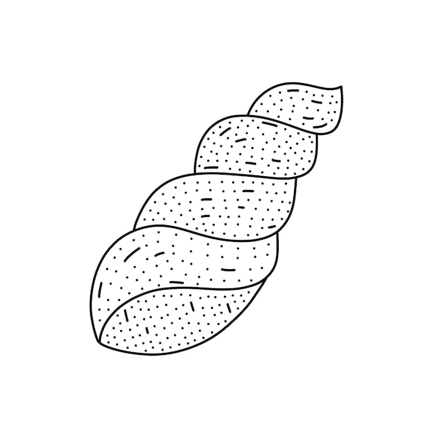 Hand getrokken zeeschelp pictogram geïsoleerd op een witte achtergrond. vector illustratie.