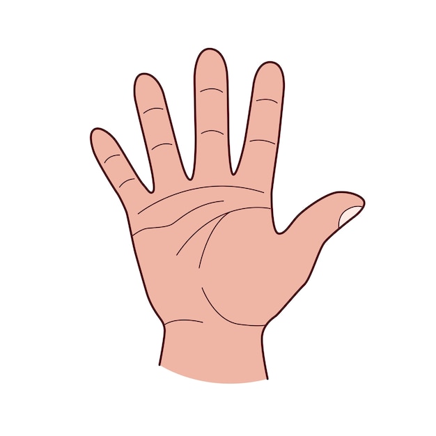 La mano dà il segno di cinque alti schizzo disegnato a mano isolato su uno sfondo bianco illustrazione vettorialexa