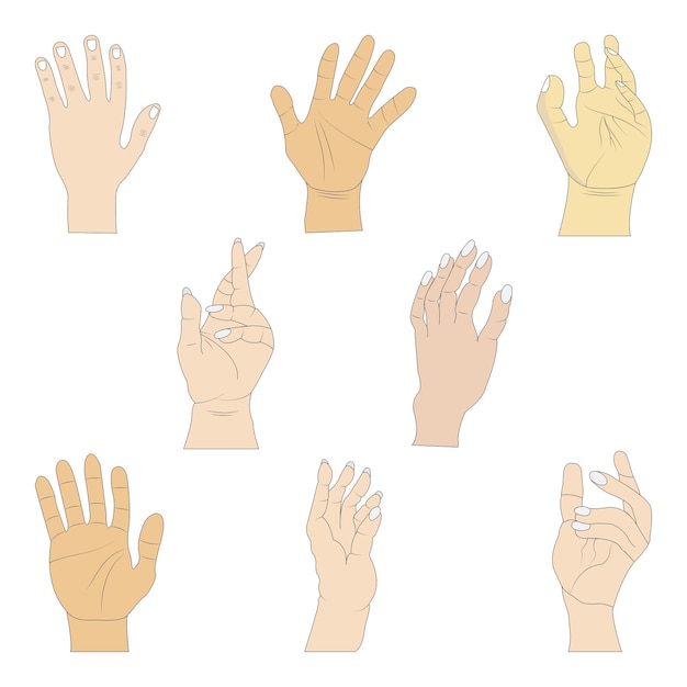 Vector hand, hand poses, hand set vector, different gesture hand flat sketch.