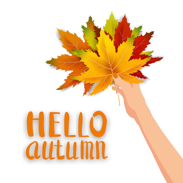 Hand hold autumn colorful leaves bright bouquet fall, floral. hello autumn lettering