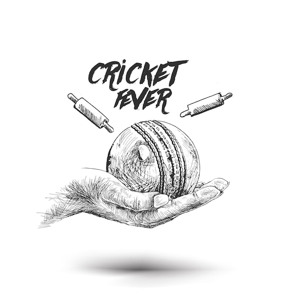 Tenere in mano la palla con wicket bell cricket sport illustrazione vettoriale della febbre da cricket
