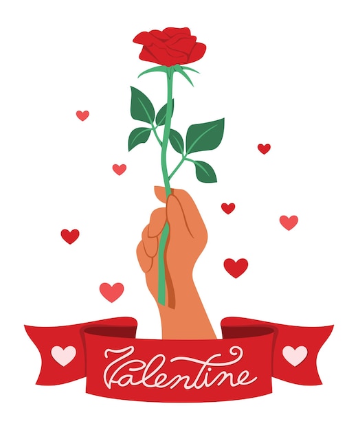 Vector hand hold a red rose with a ribbon of word is valentine.