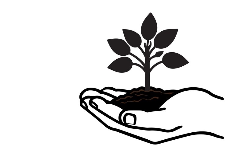 Vector hand hold small black tree for planting seedling ground in palms with leaf vector illustration