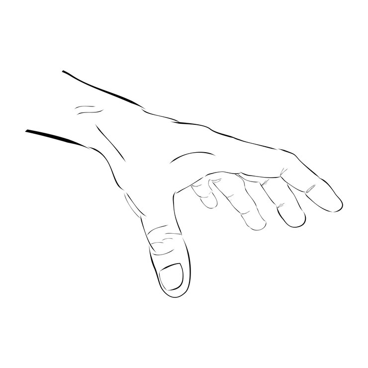 Vector hand hold take receive something simple hand draw sketch doodle